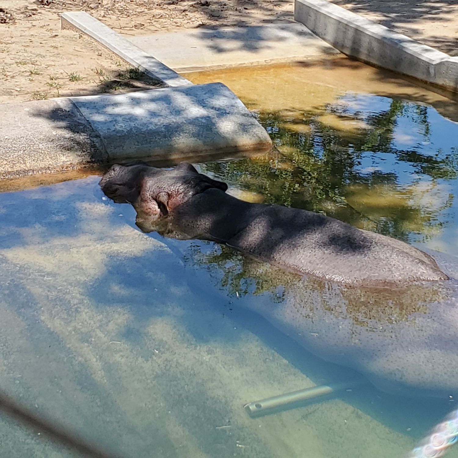 Sedgwick County Zoo 